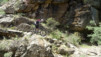 sn5_trevelez_019