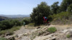 sn5_trevelez_025