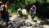 sn5_trevelez_038