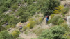 sn5_trevelez_039