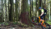 squamish_009