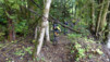squamish_022
