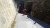tatz_16_002