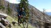 tatz_16_009