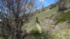 tatz_16_013