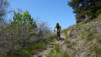 tatz_16_024