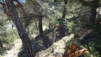 tatz_17_010