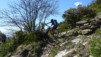 tatz_17_018