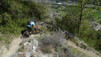 tatz_17_025