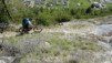 tatz_17_026