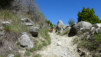 tatz_17_027