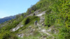 tatz_17_028