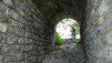 tatz_18_009