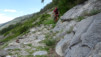 tatz_18_026