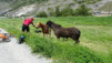tatz_18_028