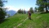 tatz_19_004