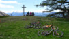 tatz_19_005