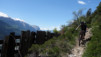 tatz_19_018