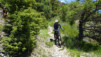 tatz_19_019
