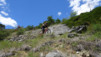 tatz_19_025