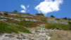 tatz_19_026