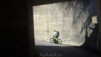 tatz_2015_001
