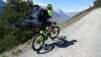 tatz_2015_002