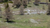 tatz_2015_005