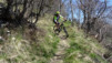tatz_2015_013