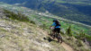tatz_2015_014