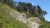 tatz_2015_015