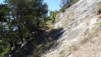 tatz_2015_016