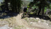 tatz_2015_017