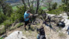 tatz_2015_018