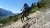 tatz_2015_019