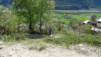 tatz_2015_020