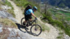 tatz_2015_021