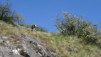 tatz_2015_023