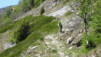 tatz_2015_028