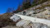 tatz_20_008