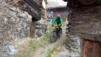 tatz_20_017