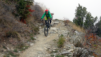 tatz_20_027