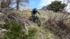tatz_21_006