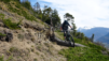 tatz_21_016
