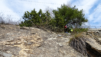 tatz_21_019