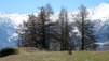 tatz_22_001