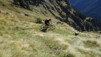 termin_035