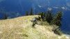 termin_036