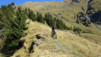 termin_037