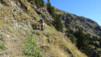 termin_039